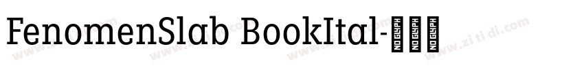 FenomenSlab BookItal字体转换
